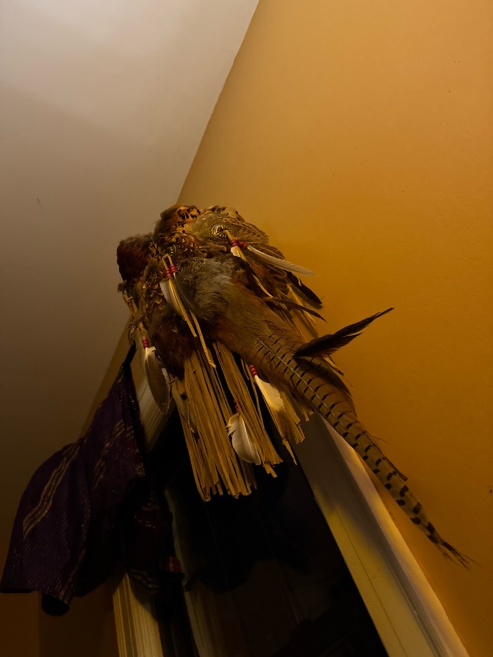 Decorative Feather Wall Hanging with Long Pheasant Tail